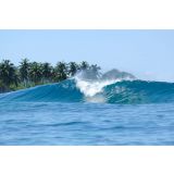 Maldives Twin Peaks surf